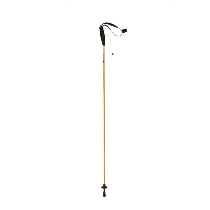 Bastoncini EIGER CM.135 coppia FERRINO 02