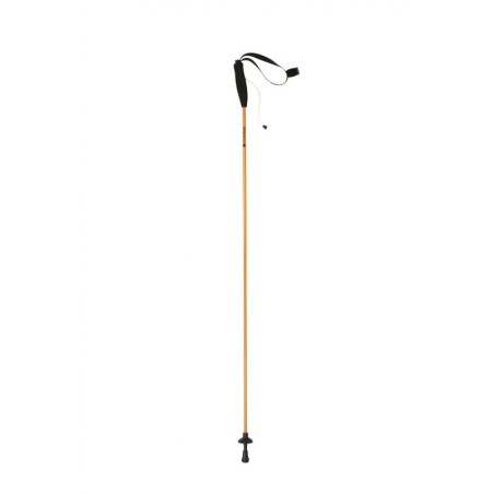 Bastoncini EIGER CM.135 coppia FERRINO 02
