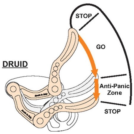 DRUID - Discensore CAMP funzioni