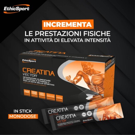 CREATINA VECTOR ETHICSPORT 04