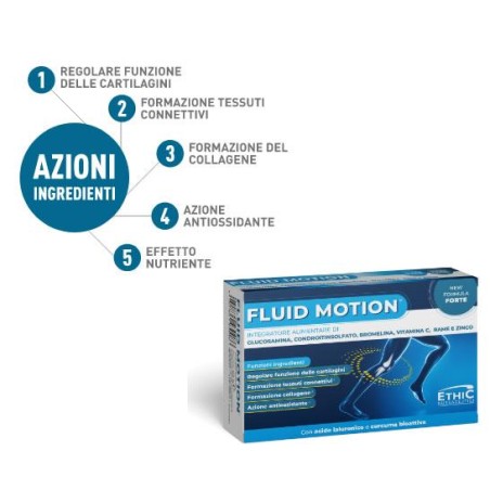 FLUID MOTION - ETHICSPORT